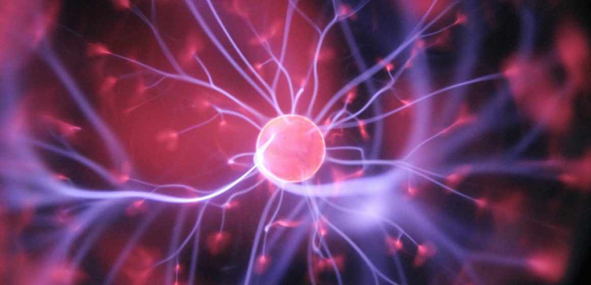 Neuroplasticidad